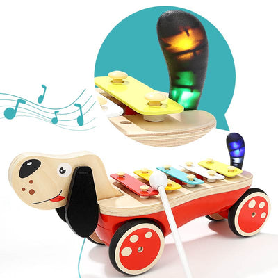 Top Bright - Puppy Pull And Xylophone Toys